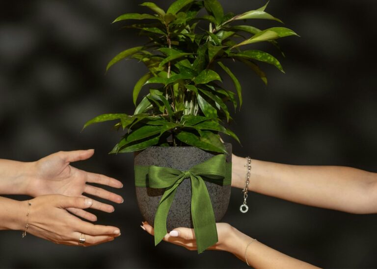 Corporate Social Responsibility (CSR) under the Companies Act, 2013: A Comprehensive and Practical Guide